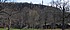 USA NH 2006-04-09 15-51-44 - 53,4 KB