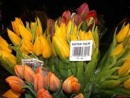 DSCN8864.JPG