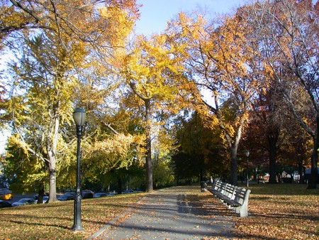 DSCN8874.JPG