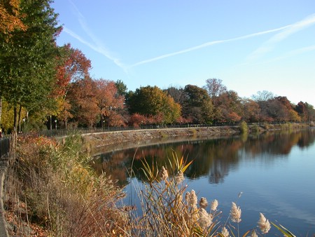 DSCN8909.JPG