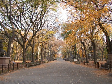 DSCN8926.JPG