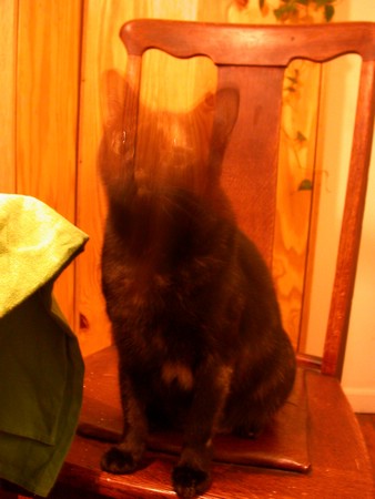 DSCN8929.JPG