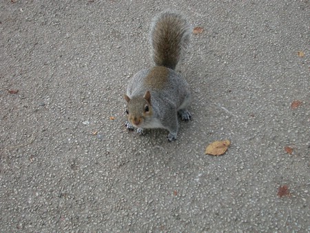 DSCN9077.JPG