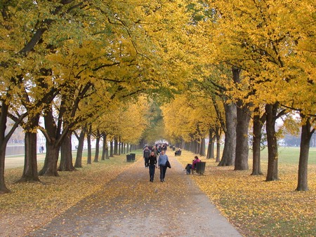 DSCN9078.JPG
