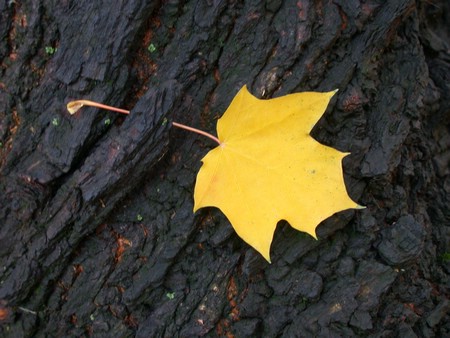 DSCN9132.JPG