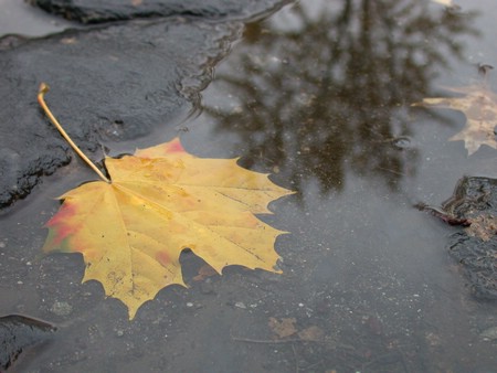 DSCN9140.JPG