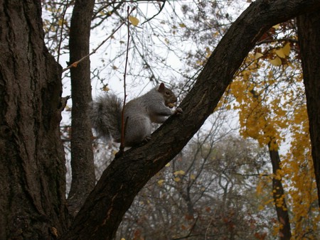DSCN9146.JPG