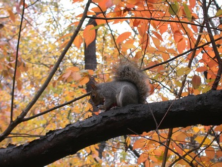 DSCN9156.JPG