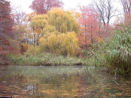 DSCN9167.JPG