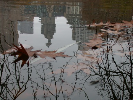 DSCN9178.JPG