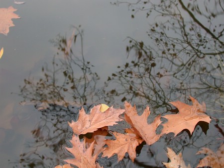 DSCN9196.JPG
