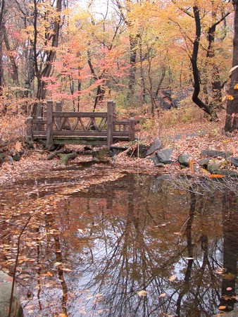 DSCN9208.JPG
