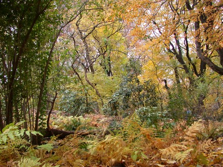 DSCN9249.JPG