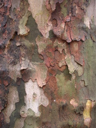 DSCN9252.JPG
