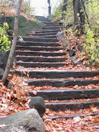 DSCN9253.JPG