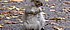 DSCN9161_aus - 60,9 KB