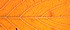 DSCN9244 - 53,0 KB