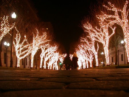 DSCN9366.JPG