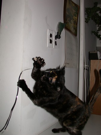 DSCN9368.JPG