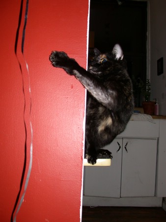 DSCN9373.JPG