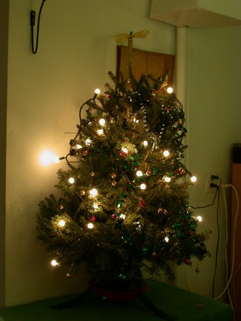 DSCN9910.JPG