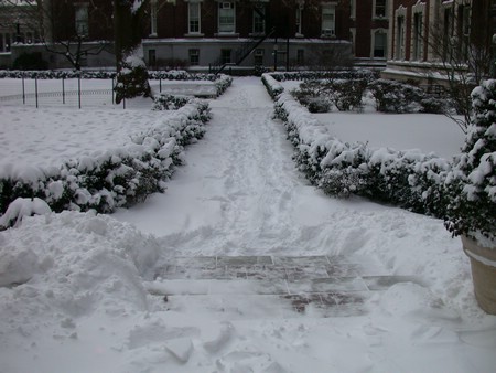 DSCN0398.JPG