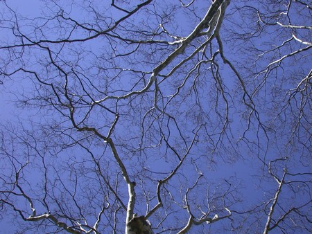 DSCN0476.JPG