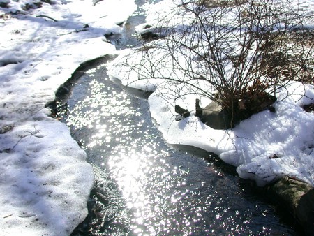 DSCN0493.JPG