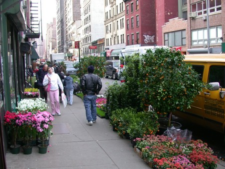 DSCN0514.JPG