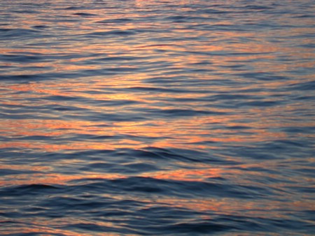 DSCN0630.JPG