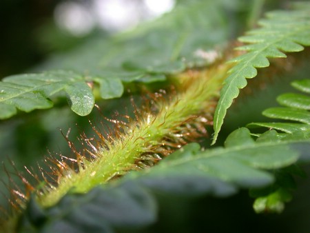 DSCN0910.JPG