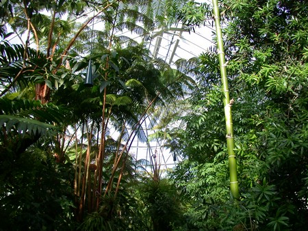 DSCN0911.JPG
