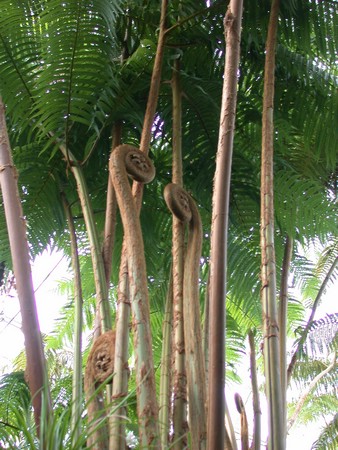DSCN0912.JPG