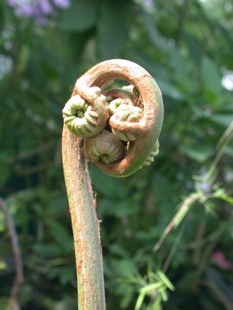 DSCN0914.JPG