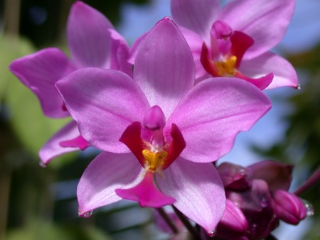 DSCN0930.JPG
