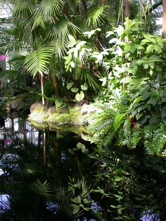 DSCN0934.JPG
