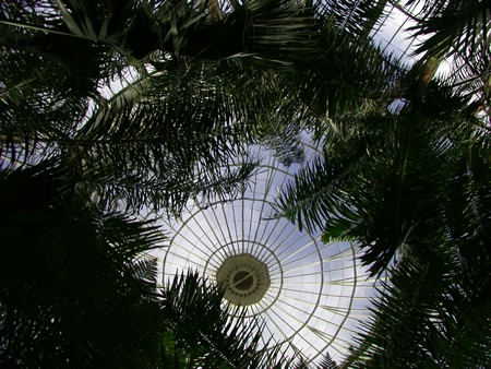 DSCN0939.JPG