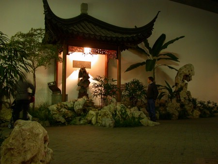 DSCN0979.JPG
