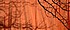 DSCN1123 - 56,0 KB